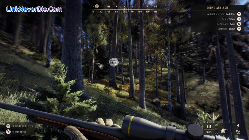 Hình ảnh trong game Way of the Hunter (screenshot) Hình ảnh trong game Way of the Hunter (screenshot)