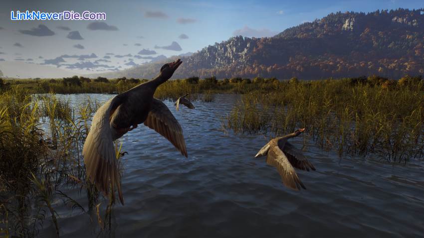 Hình ảnh trong game Way of the Hunter (screenshot) Hình ảnh trong game Way of the Hunter (screenshot)