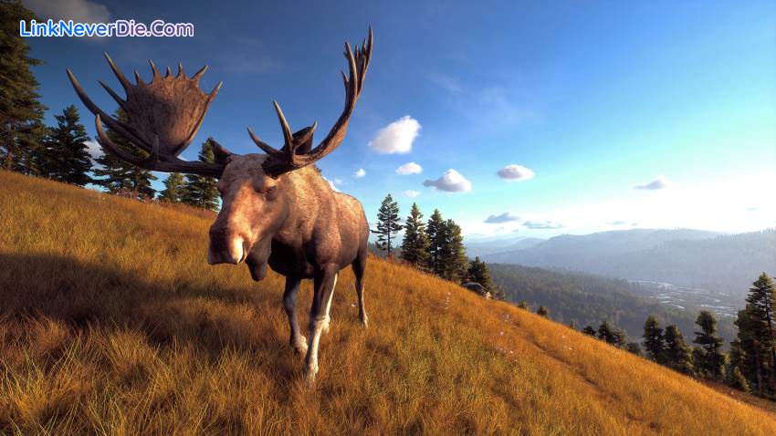 Hình ảnh trong game Way of the Hunter (screenshot) Hình ảnh trong game Way of the Hunter (screenshot)