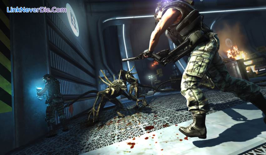 Hình ảnh trong game Aliens: Colonial Marines (screenshot) Hình ảnh trong game Aliens: Colonial Marines (screenshot)