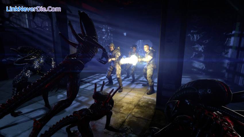 Hình ảnh trong game Aliens: Colonial Marines (screenshot) Hình ảnh trong game Aliens: Colonial Marines (screenshot)