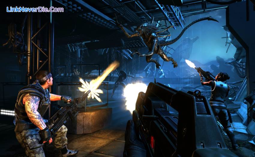 Hình ảnh trong game Aliens: Colonial Marines (screenshot) Hình ảnh trong game Aliens: Colonial Marines (screenshot)