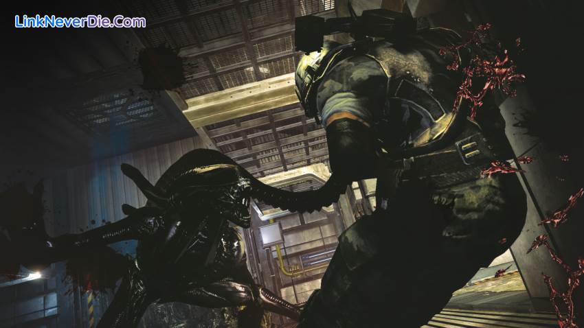 Hình ảnh trong game Aliens: Colonial Marines (screenshot) Hình ảnh trong game Aliens: Colonial Marines (screenshot)