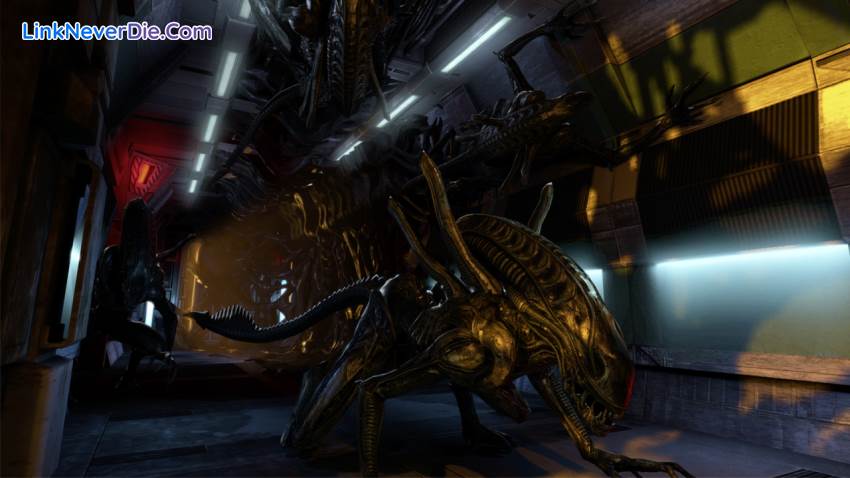 Hình ảnh trong game Aliens: Colonial Marines (screenshot) Hình ảnh trong game Aliens: Colonial Marines (screenshot)