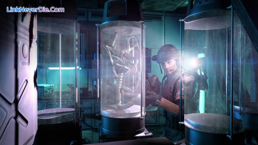 Hình ảnh trong game Aliens: Colonial Marines (screenshot) Hình ảnh trong game Aliens: Colonial Marines (screenshot)