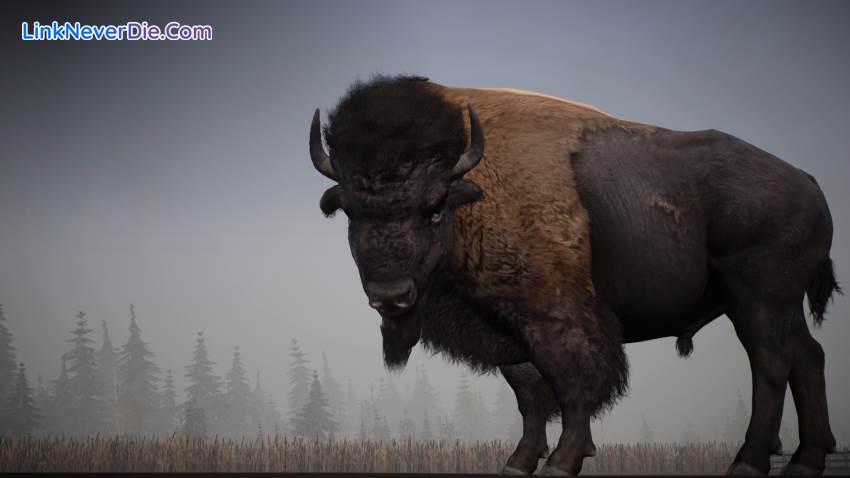 Hình ảnh trong game Alaskan Road Truckers (screenshot) Hình ảnh trong game Alaskan Road Truckers (screenshot)