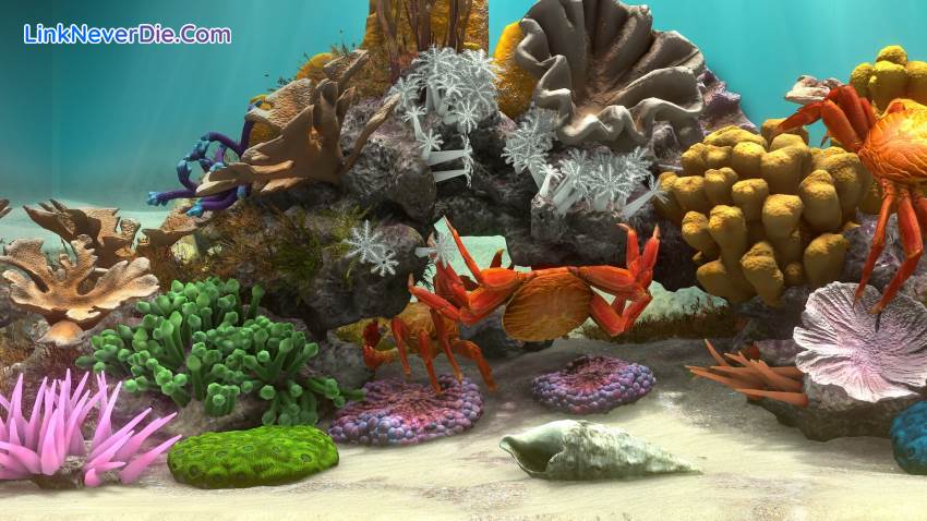 Hình ảnh trong game Behind Glass: Aquarium Simulator (screenshot) Hình ảnh trong game Behind Glass: Aquarium Simulator (screenshot)