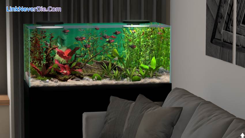 Hình ảnh trong game Behind Glass: Aquarium Simulator (screenshot) Hình ảnh trong game Behind Glass: Aquarium Simulator (screenshot)