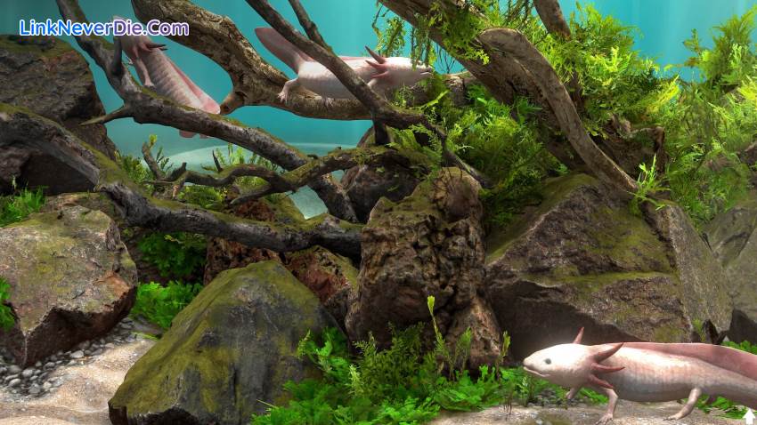 Hình ảnh trong game Behind Glass: Aquarium Simulator (screenshot) Hình ảnh trong game Behind Glass: Aquarium Simulator (screenshot)