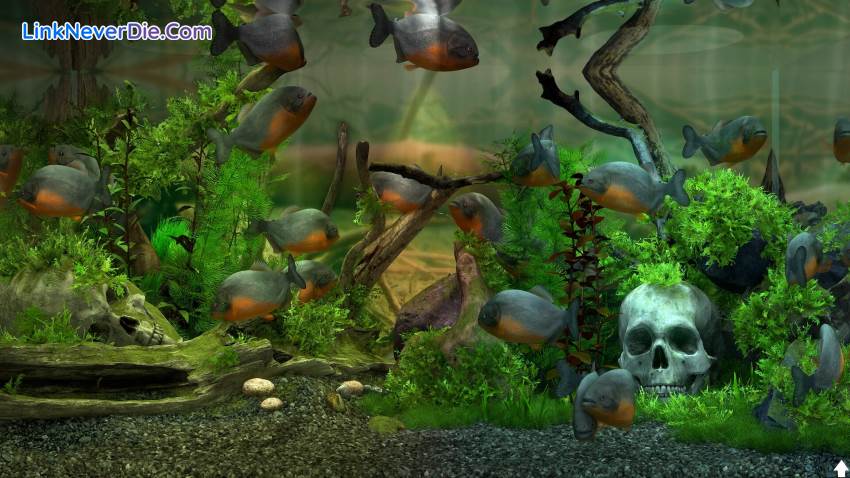 Hình ảnh trong game Behind Glass: Aquarium Simulator (screenshot) Hình ảnh trong game Behind Glass: Aquarium Simulator (screenshot)