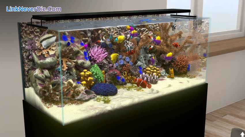 Hình ảnh trong game Behind Glass: Aquarium Simulator (screenshot) Hình ảnh trong game Behind Glass: Aquarium Simulator (screenshot)