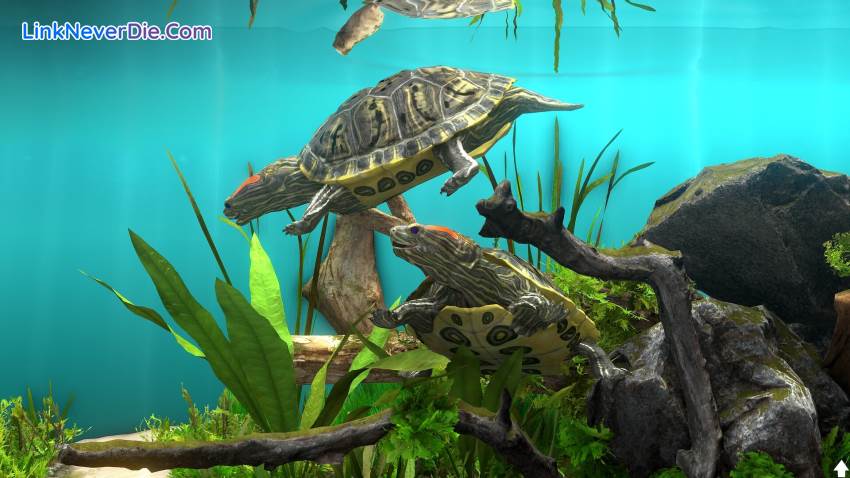 Hình ảnh trong game Behind Glass: Aquarium Simulator (screenshot) Hình ảnh trong game Behind Glass: Aquarium Simulator (screenshot)