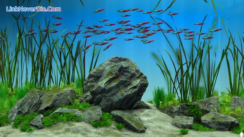 Hình ảnh trong game Behind Glass: Aquarium Simulator (screenshot) Hình ảnh trong game Behind Glass: Aquarium Simulator (screenshot)