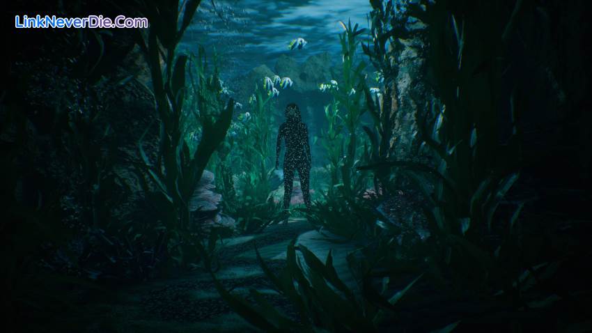 Hình ảnh trong game The Inn-Sanity (screenshot) Hình ảnh trong game The Inn-Sanity (screenshot)