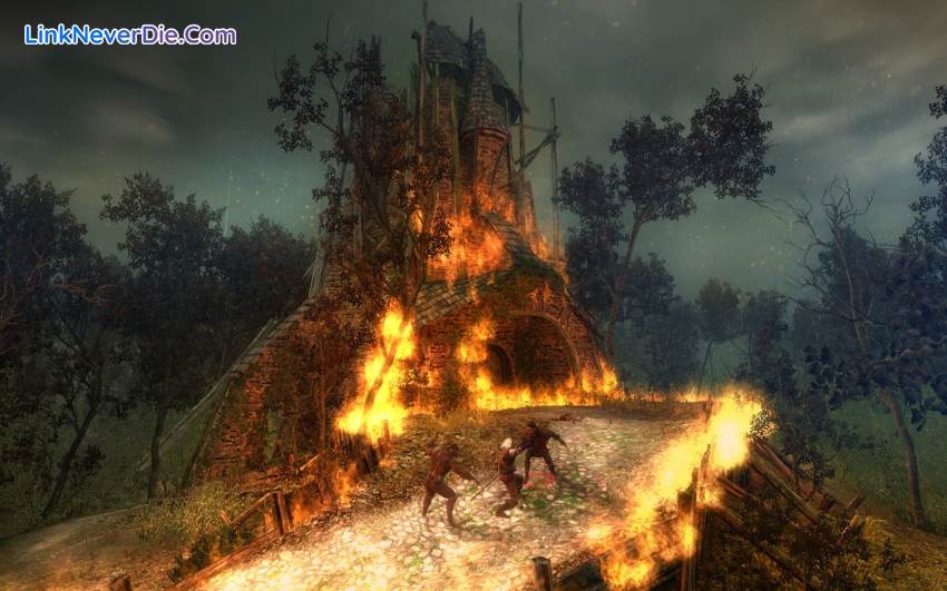 Hình ảnh trong game The Witcher: Enhanced Edition (screenshot) Hình ảnh trong game The Witcher: Enhanced Edition (screenshot)