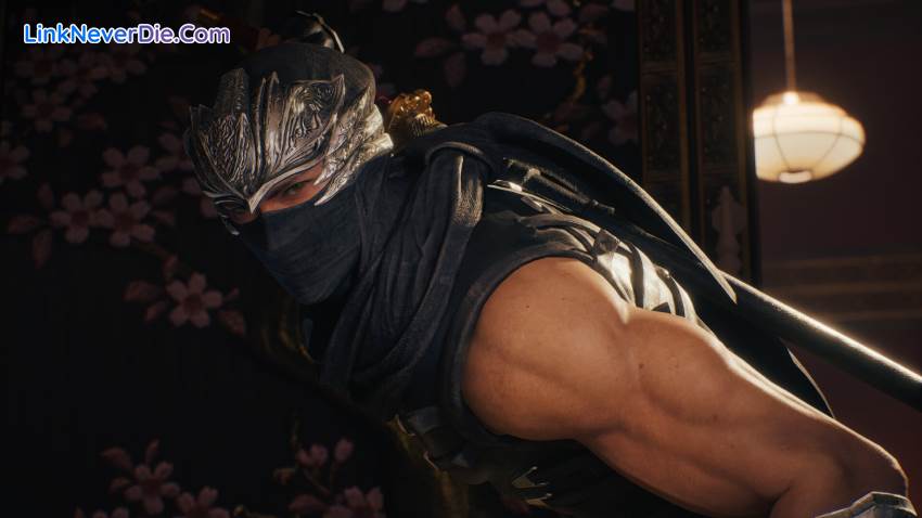 Hình ảnh trong game NINJA GAIDEN 2 Black (screenshot) Hình ảnh trong game NINJA GAIDEN 2 Black (screenshot)
