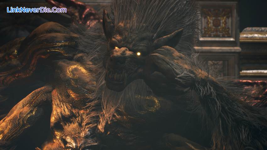 Hình ảnh trong game NINJA GAIDEN 2 Black (screenshot) Hình ảnh trong game NINJA GAIDEN 2 Black (screenshot)