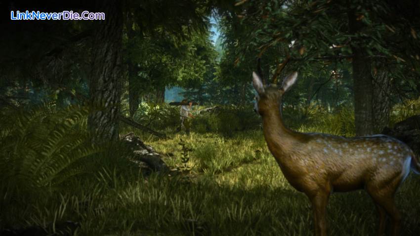 Hình ảnh trong game The Witcher 2: Assassins of Kings Enhanced Editon (screenshot) Hình ảnh trong game The Witcher 2: Assassins of Kings Enhanced Editon (screenshot)