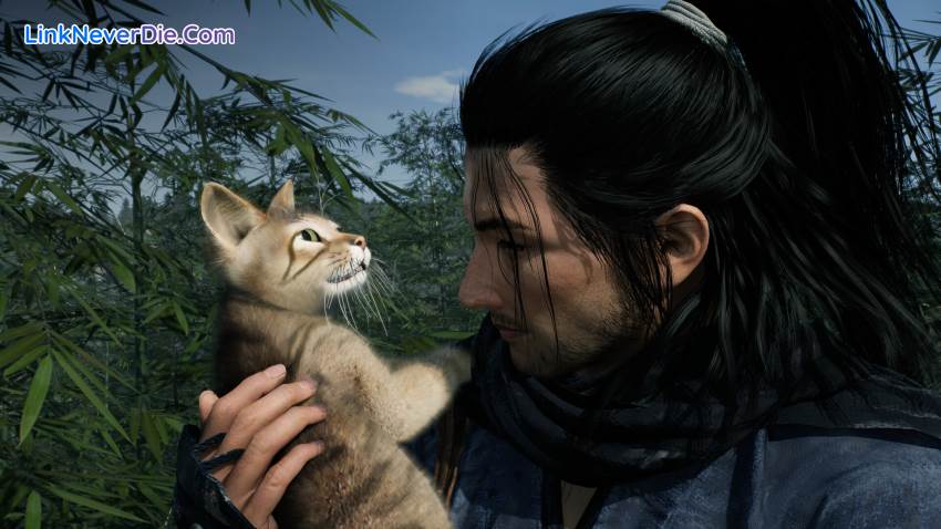 Hình ảnh trong game Rise of the Ronin (screenshot) Hình ảnh trong game Rise of the Ronin (screenshot)