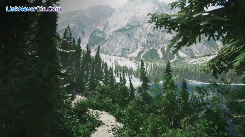 Hình ảnh trong game Lushfoil Photography Sim (screenshot) Hình ảnh trong game Lushfoil Photography Sim (screenshot)
