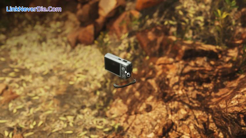 Hình ảnh trong game Lushfoil Photography Sim (screenshot) Hình ảnh trong game Lushfoil Photography Sim (screenshot)