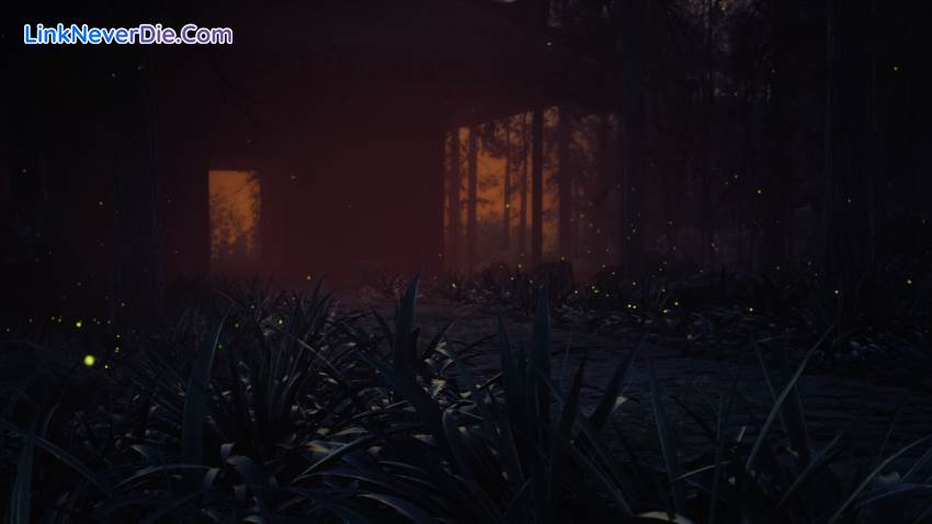 Hình ảnh trong game Lushfoil Photography Sim (screenshot) Hình ảnh trong game Lushfoil Photography Sim (screenshot)
