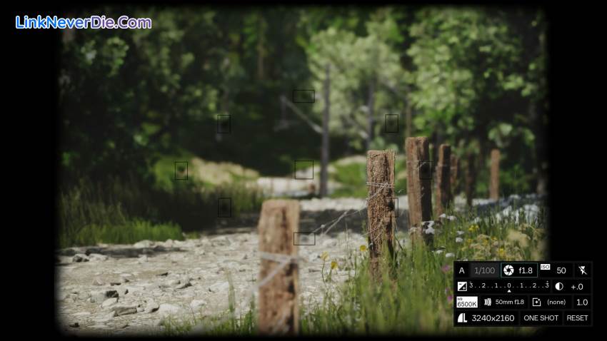 Hình ảnh trong game Lushfoil Photography Sim (screenshot) Hình ảnh trong game Lushfoil Photography Sim (screenshot)