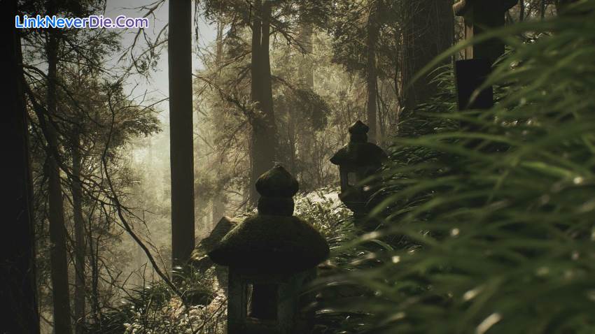 Hình ảnh trong game Lushfoil Photography Sim (screenshot) Hình ảnh trong game Lushfoil Photography Sim (screenshot)