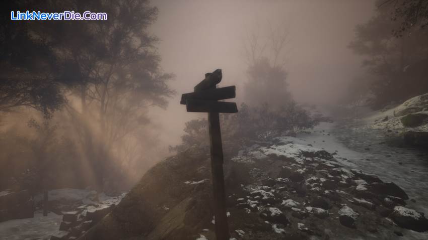 Hình ảnh trong game Lushfoil Photography Sim (screenshot) Hình ảnh trong game Lushfoil Photography Sim (screenshot)
