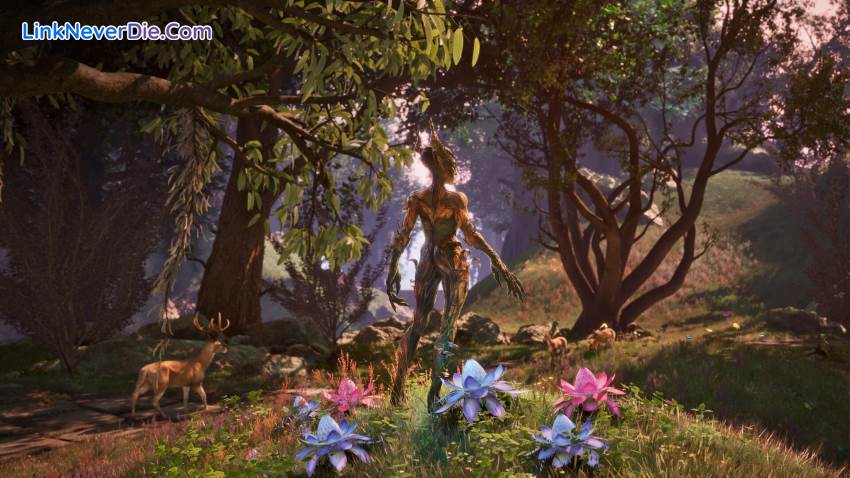Hình ảnh trong game The Elder Scrolls IV: Oblivion Remastered (screenshot) Hình ảnh trong game The Elder Scrolls IV: Oblivion Remastered (screenshot)