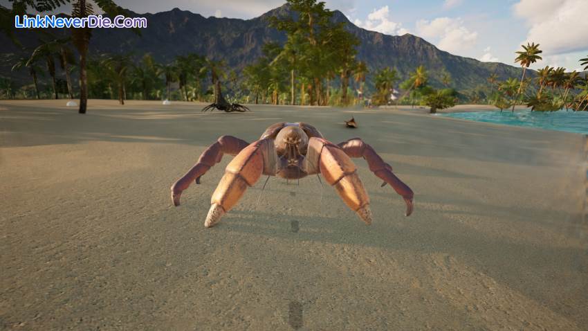 Hình ảnh trong game Dinosaur World (screenshot) Hình ảnh trong game Dinosaur World (screenshot)