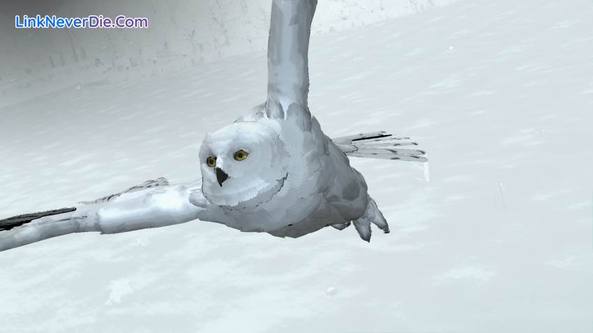 Hình ảnh trong game D4: Dark Dreams Don’t Die (screenshot) Hình ảnh trong game D4: Dark Dreams Don’t Die (screenshot)