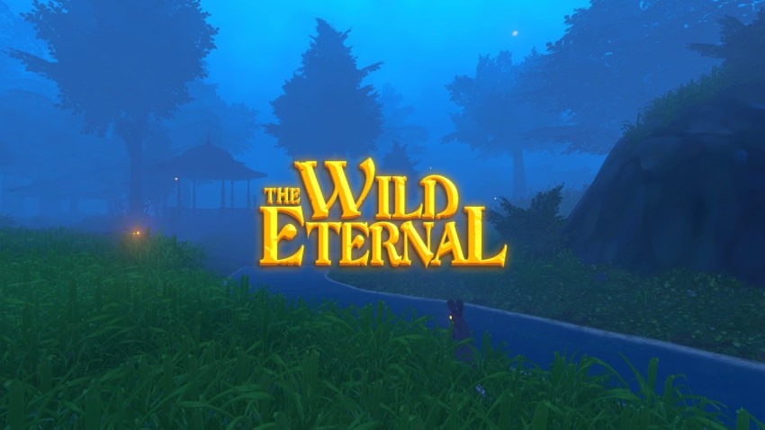 The Wild Eternal cover The Wild Eternal cover