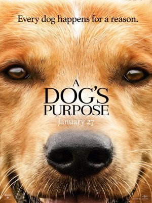 A Dog's Purpose A Dog's Purpose
