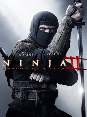 Ninja: Shadow of a Tear Ninja: Shadow of a Tear