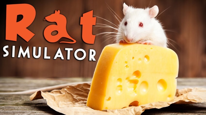Rat Simulator cover Rat Simulator cover