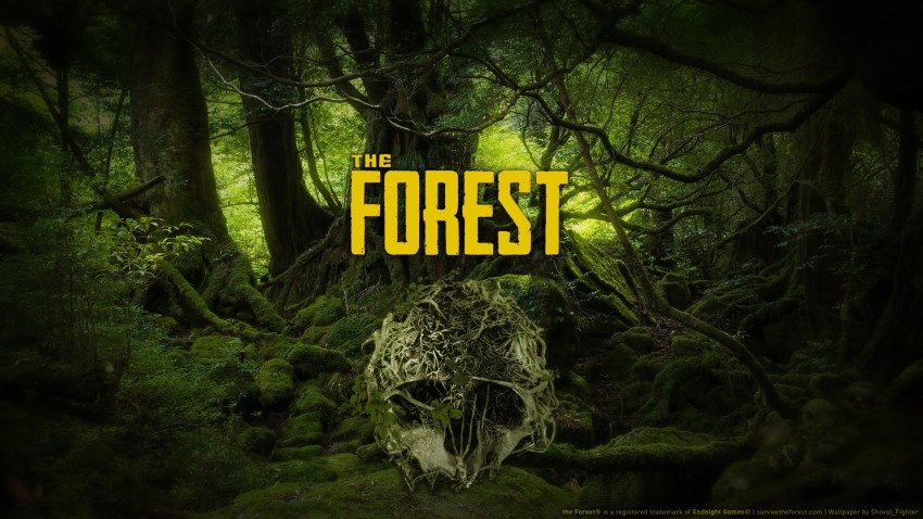 The Forest cover The Forest cover