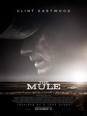 The Mule The Mule