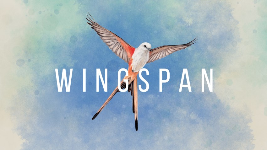 Wingspan cover Wingspan cover