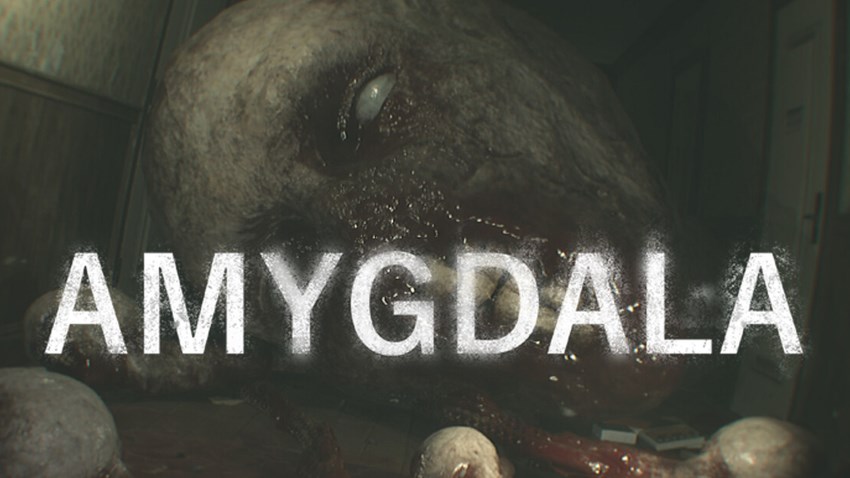 Amygdala cover Amygdala cover